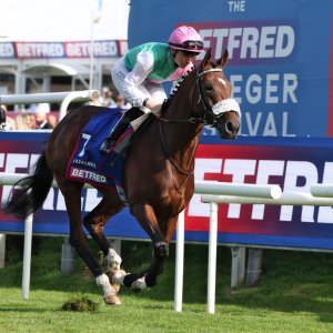 Doncaster | St Leger | 12,13/9/25