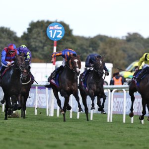 Doncaster | St Leger | 12,13/9/25