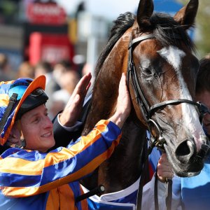 Doncaster | St Leger | 12,13/9/25