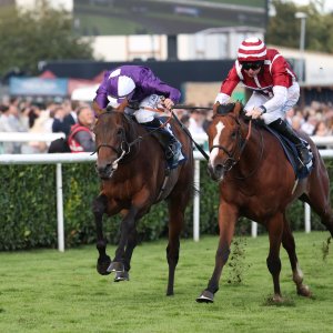 Doncaster | St Leger | 12,13/9/25