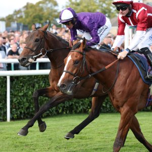 Doncaster | St Leger | 12,13/9/25