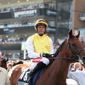 Doncaster | St Leger | 12,13/9/25