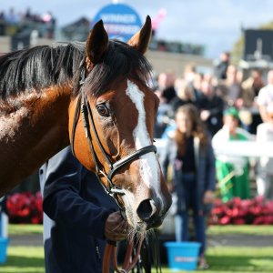 Doncaster | St Leger | 12,13/9/25