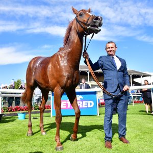 Doncaster | St Leger | 12,13/9/25