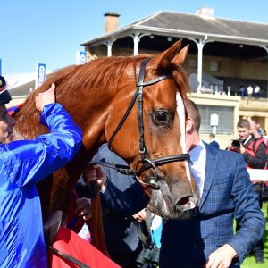 Doncaster | St Leger | 12,13/9/25