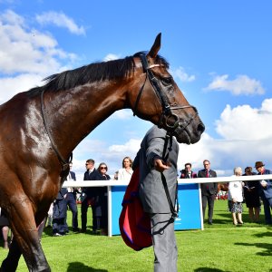 Doncaster | St Leger | 12,13/9/25