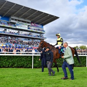 Doncaster | St Leger | 12,13/9/25