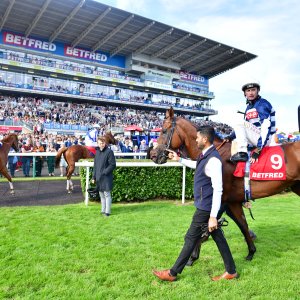 Doncaster | St Leger | 12,13/9/25