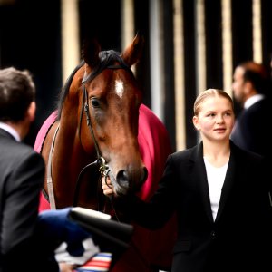 Doncaster | William Hill Trophy | 26/10/24