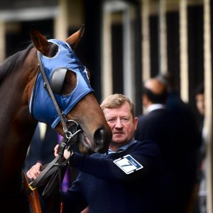 Doncaster | William Hill Trophy | 26/10/24