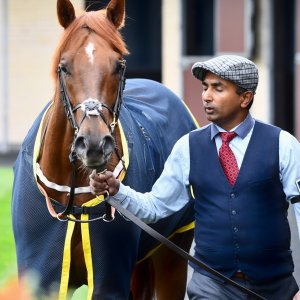 Doncaster | William Hill Trophy | 26/10/24