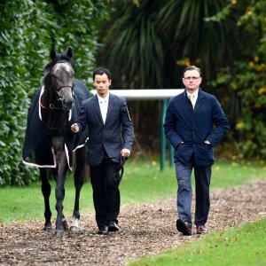 Doncaster | William Hill Trophy | 26/10/24