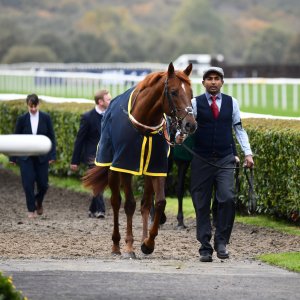 Doncaster | William Hill Trophy | 26/10/24