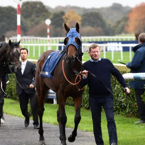 Doncaster | William Hill Trophy | 26/10/24