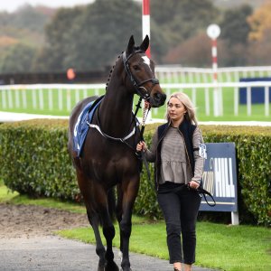 Doncaster | William Hill Trophy | 26/10/24