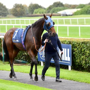 Doncaster | William Hill Trophy | 26/10/24