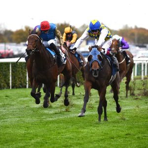 Doncaster | William Hill Trophy | 26/10/24