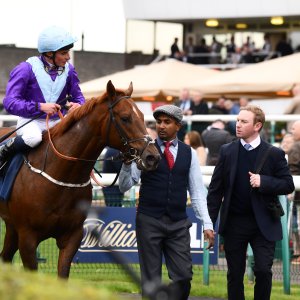 Doncaster | William Hill Trophy | 26/10/24