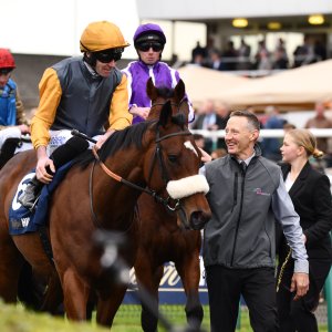 Doncaster | William Hill Trophy | 26/10/24