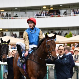 Doncaster | William Hill Trophy | 26/10/24