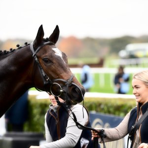 Doncaster | William Hill Trophy | 26/10/24