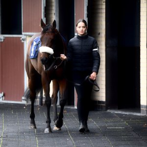 Doncaster | William Hill Trophy | 26/10/24