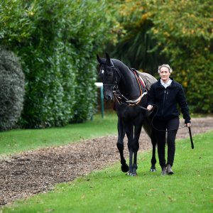 Doncaster | William Hill Trophy | 26/10/24