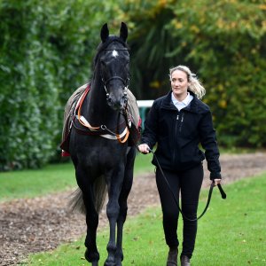 Doncaster | William Hill Trophy | 26/10/24