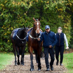 Doncaster | William Hill Trophy | 26/10/24