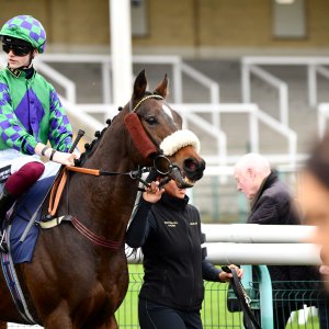 Doncaster | William Hill Trophy | 26/10/24