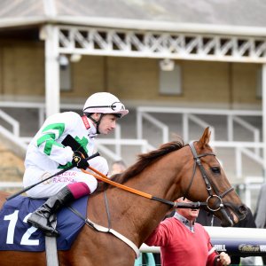 Doncaster | William Hill Trophy | 26/10/24