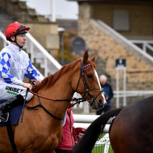 Doncaster | William Hill Trophy | 26/10/24