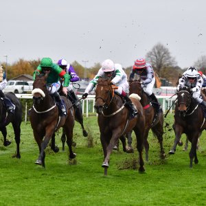Doncaster | William Hill Trophy | 26/10/24
