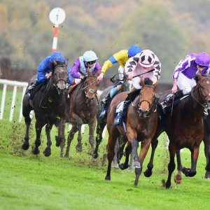 Doncaster | William Hill Trophy | 26/10/24