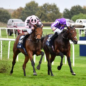 Doncaster | William Hill Trophy | 26/10/24
