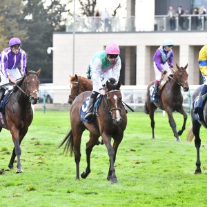 Doncaster | William Hill Trophy | 26/10/24