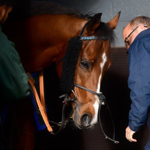 Doncaster | William Hill Trophy | 26/10/24