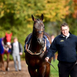 Doncaster | William Hill Trophy | 26/10/24