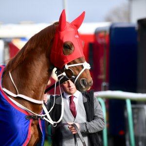 Doncaster | William Hill Trophy | 26/10/24