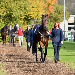 Doncaster | William Hill Trophy | 26/10/24