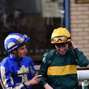 Doncaster | William Hill Trophy | 26/10/24