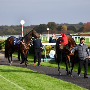 Doncaster | William Hill Trophy | 26/10/24