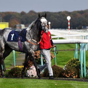 Doncaster | William Hill Trophy | 26/10/24
