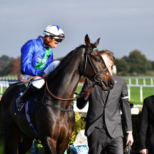 Doncaster | William Hill Trophy | 26/10/24