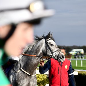 Doncaster | William Hill Trophy | 26/10/24
