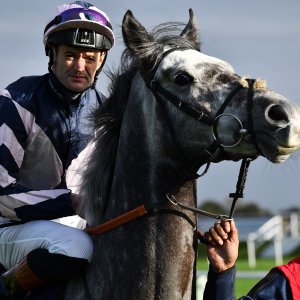 Doncaster | William Hill Trophy | 26/10/24