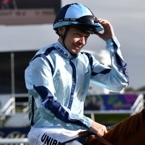 Doncaster | William Hill Trophy | 26/10/24