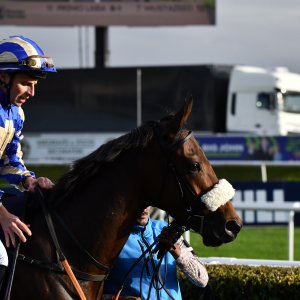 Doncaster | William Hill Trophy | 26/10/24