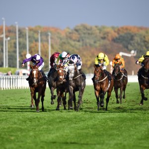Doncaster | William Hill Trophy | 26/10/24