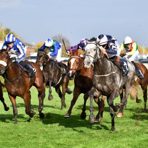 Doncaster | William Hill Trophy | 26/10/24